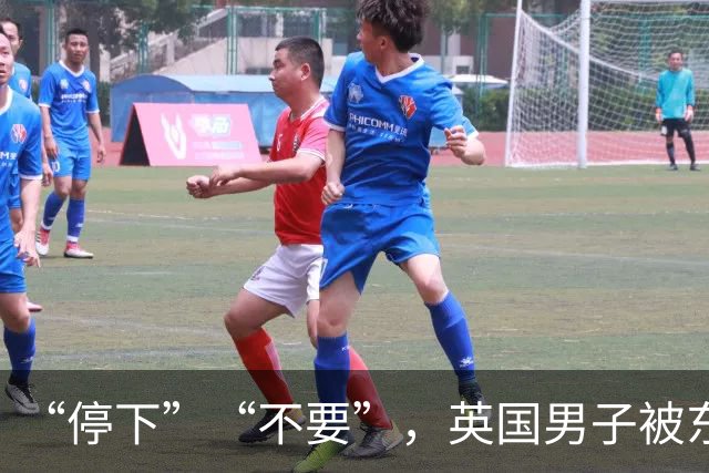 “停下”“不要”，英国男子被东北虎撕咬身亡，它到底有多强？