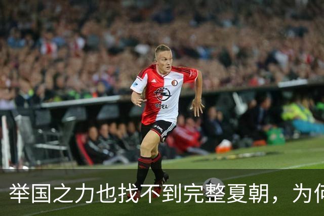 举国之力也找不到完整夏朝，为何？网友的神预言正在被考古证实