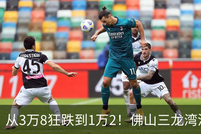 从3万8狂跌到1万2！佛山三龙湾泡沫破灭，广佛候鸟亏惨了？