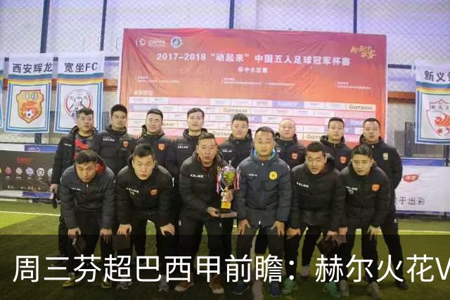 周三芬超巴西甲前瞻：赫尔火花VS国际图尔，巴西国际VS科林蒂安，博塔弗戈VS达伽马