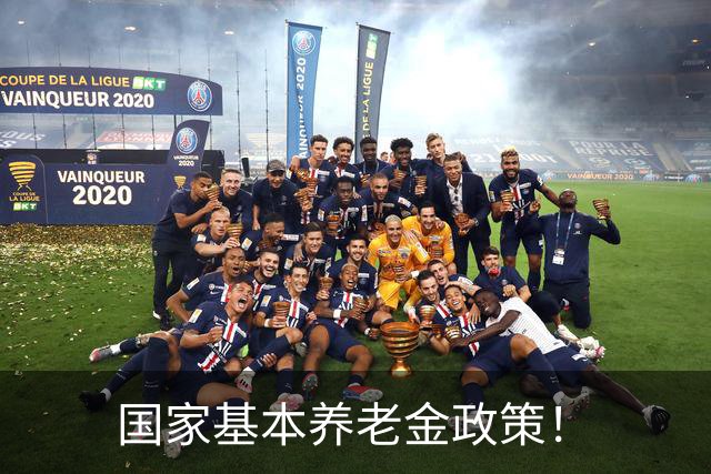 国家基本养老金政策！