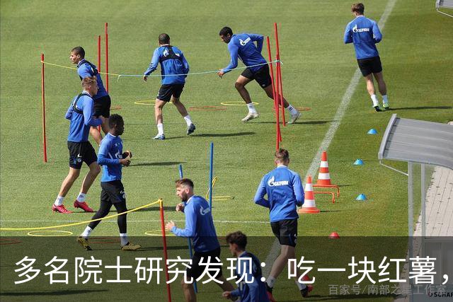 多名院士研究发现：吃一块红薯，就等于给血管添一次堵，真的假的
