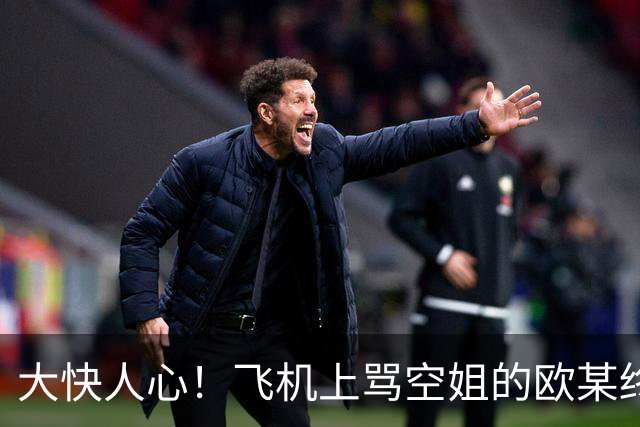 大快人心！飞机上骂空姐的欧某终于栽了