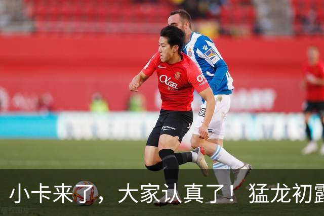 小卡来了，大家认真了！猛龙初露锋芒，三大数据印证东部霸主崛起