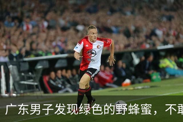 广东男子发现绿色的野蜂蜜，不敢吃怕有害，网友：极品！药用价值高！