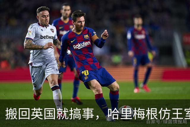 搬回英国就搞事，哈里梅根仿王室巡访，超5000人投票反对！