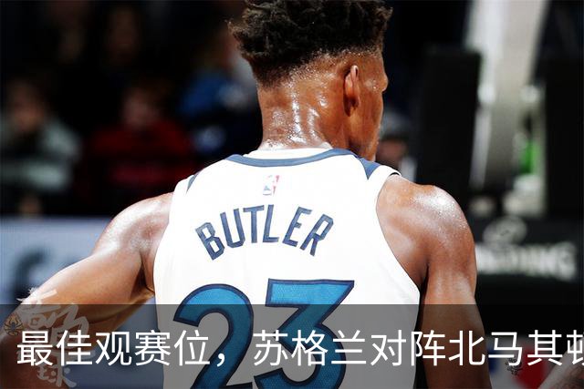 最佳观赛位，苏格兰对阵北马其顿时一只狗闯入球场