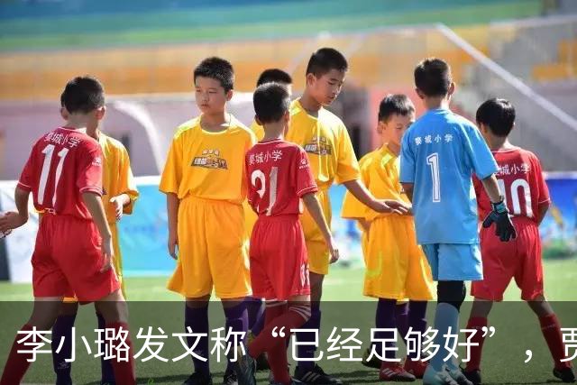 李小璐发文称“已经足够好”，贾乃亮“送礼又成梗”！