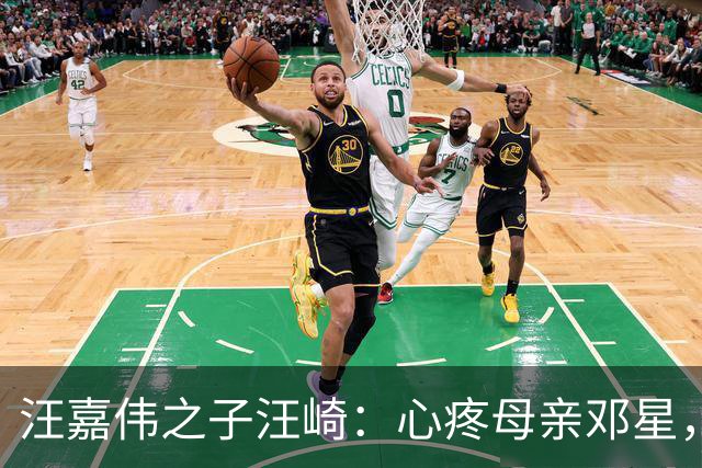 汪嘉伟之子汪崎：心疼母亲邓星，再难不“啃”父亲，赢得继母好评