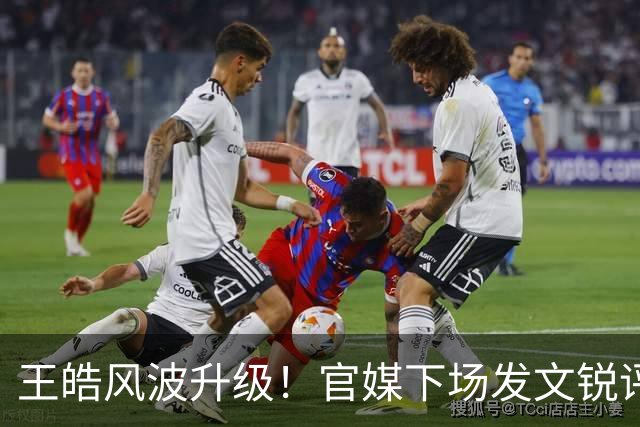 王皓风波升级！官媒下场发文锐评，言辞犀利，句句戳王皓妻子心坎