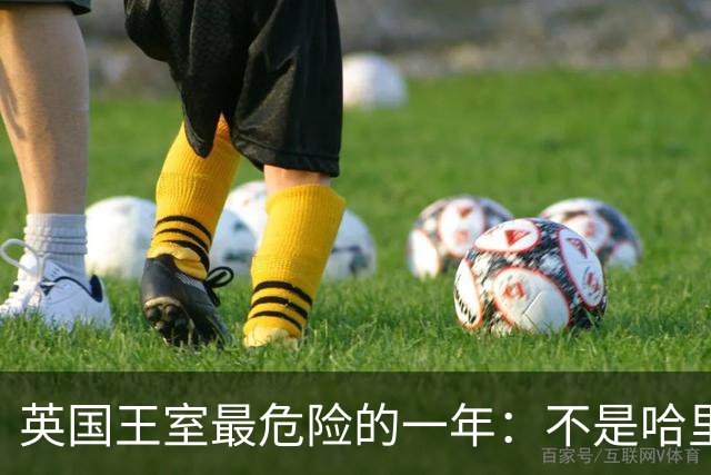 英国王室最危险的一年：不是哈里回来了，而是英国人开始算账了