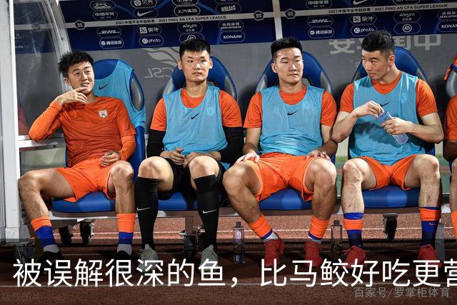 被误解很深的鱼，比马鲛好吃更营养，鱼肉似“千层糕”，我国独有