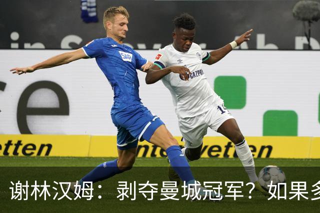 谢林汉姆：剥夺曼城冠军？如果多年后给我补个冠军，我觉得没意思
