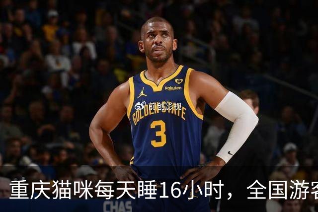 重庆猫咪每天睡16小时，全国游客排队围观睡姿：这才是真松弛