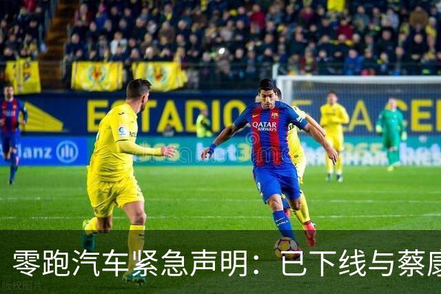 零跑汽车紧急声明：已下线与蔡康永相关的全部内容