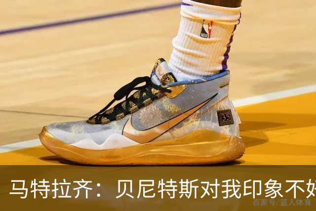 马特拉齐：贝尼特斯对我印象不好，他看到我就会想到穆帅